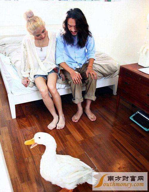 卢信江资料,探索科技创新与产业融合的领军人物