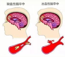 身体健康的图片,揭秘身体健康的秘密