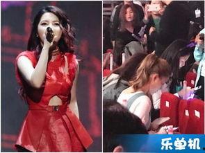 g.m娱乐,引领潮流的娱乐新势力