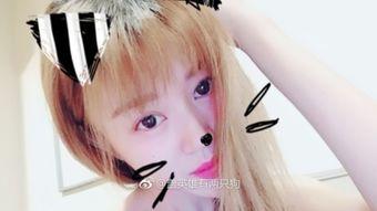 盖英雄资料,传奇人生，无畏挑战